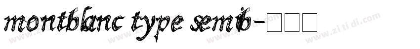 montblanc type semib字体转换